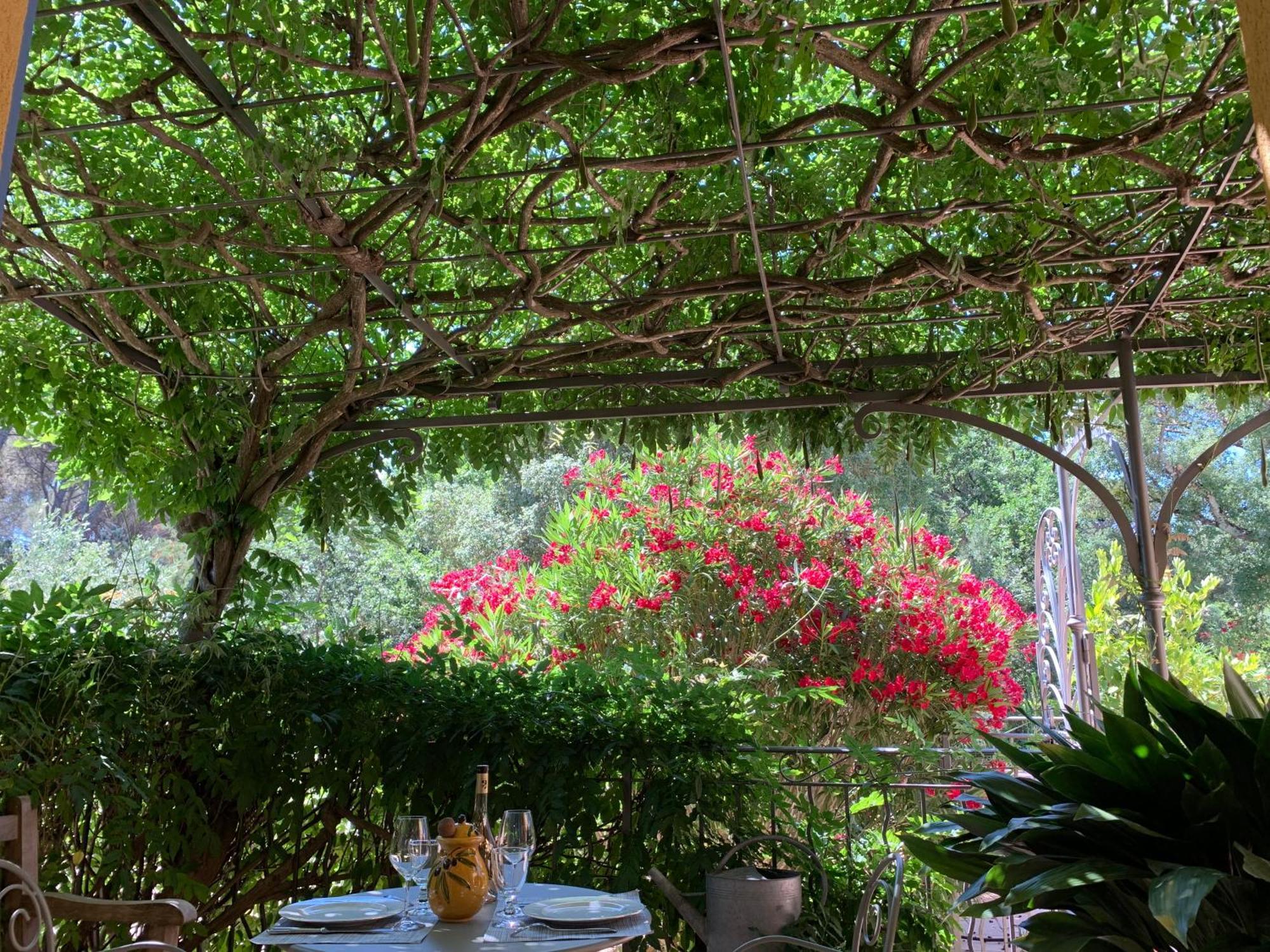 Sous Les Pins Parasols 비도방 외부 사진